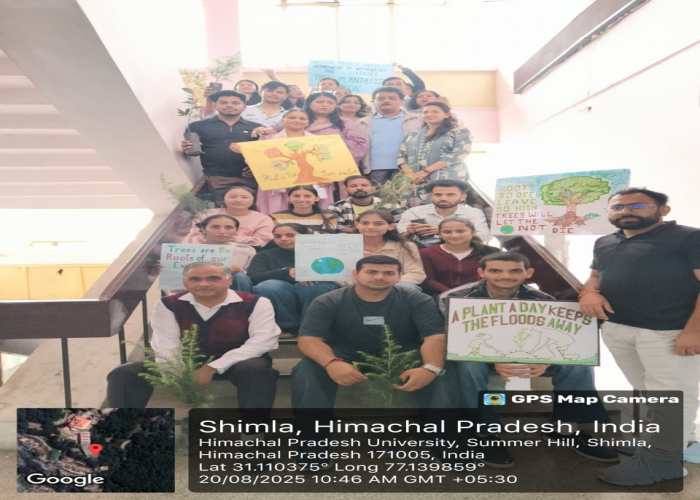 Tree Plantation Drive